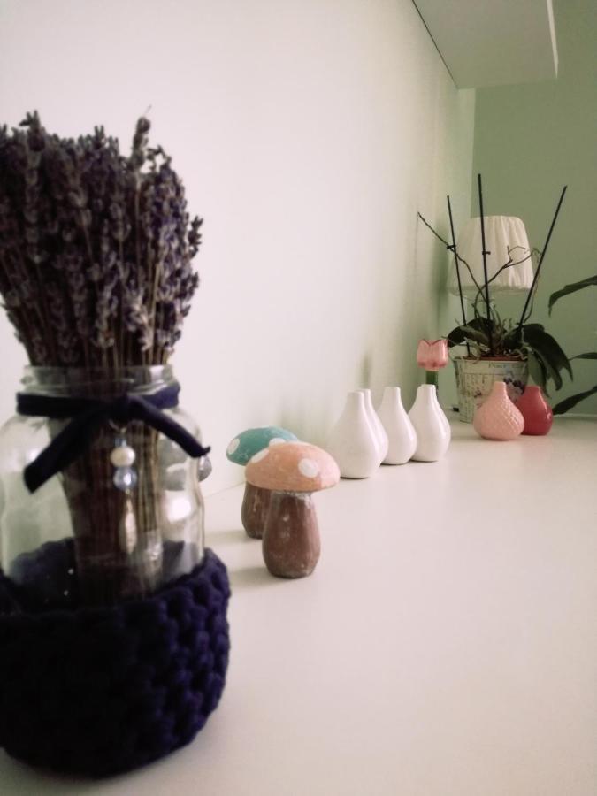 Sweet-S Apartman Boriszpil Kültér fotó